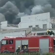 Eight killed in factory building fire in east China